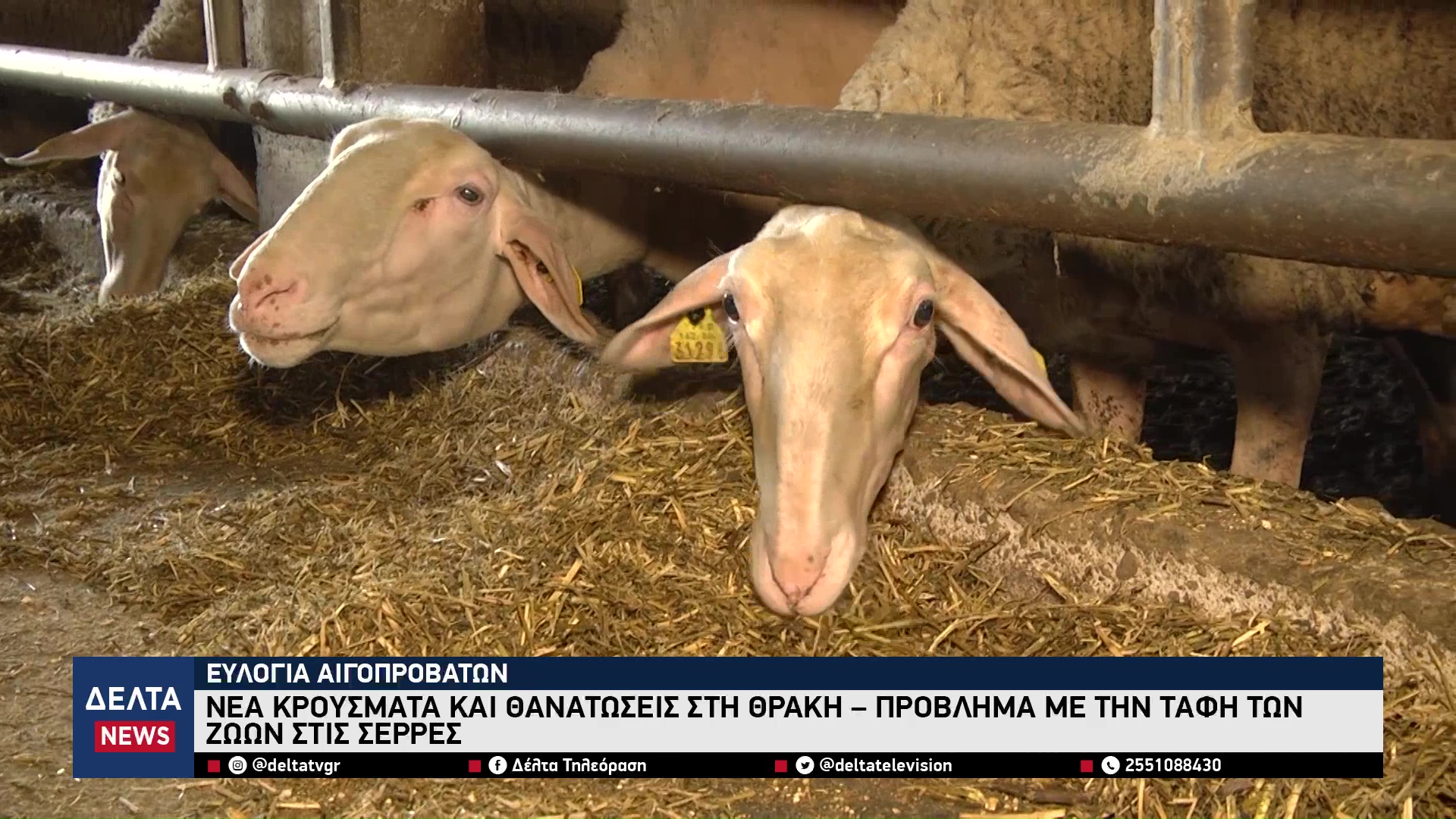 vlcsnap 2025 10 08 10h35m20s391