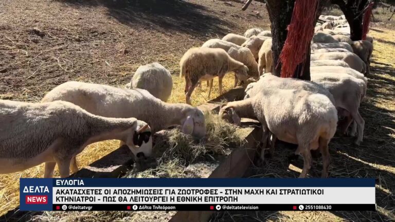 vlcsnap 2025 10 24 10h57m18s542