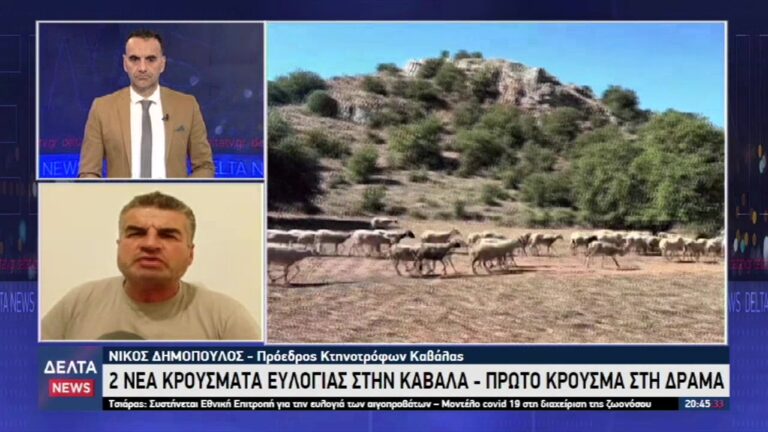 vlcsnap 2025 10 24 11h51m05s652