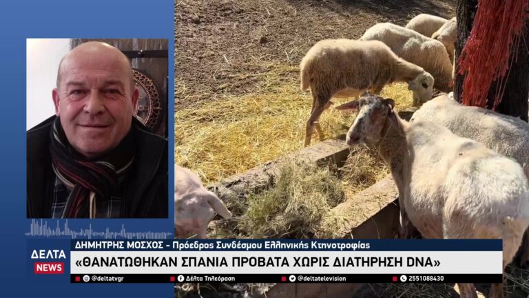 vlcsnap 2025 10 25 10h54m24s509