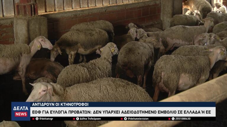 vlcsnap 2025 10 25 11h01m19s068