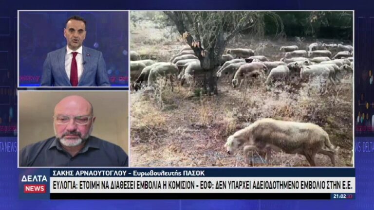 vlcsnap 2025 10 29 12h52m16s097