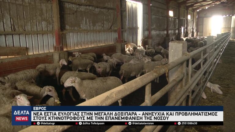 vlcsnap 2025 10 30 10h58m12s119