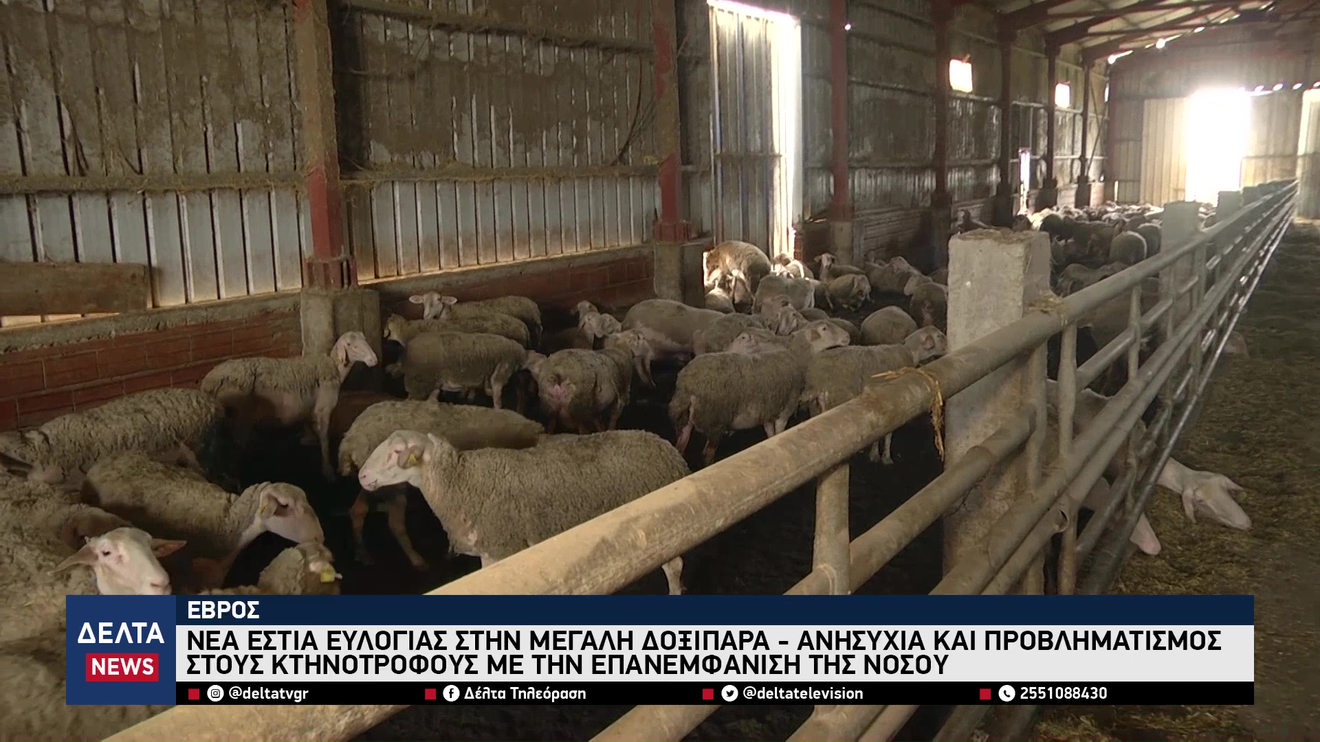 vlcsnap 2025 10 30 10h58m12s119