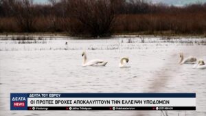 vlcsnap 2025 10 31 10h48m53s558