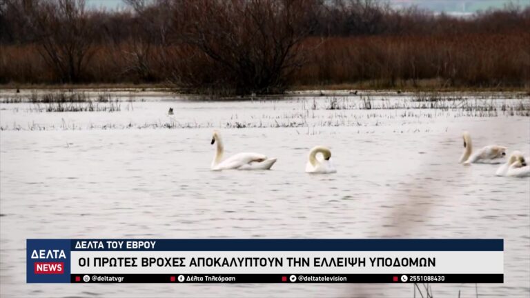 vlcsnap 2025 10 31 10h48m53s558