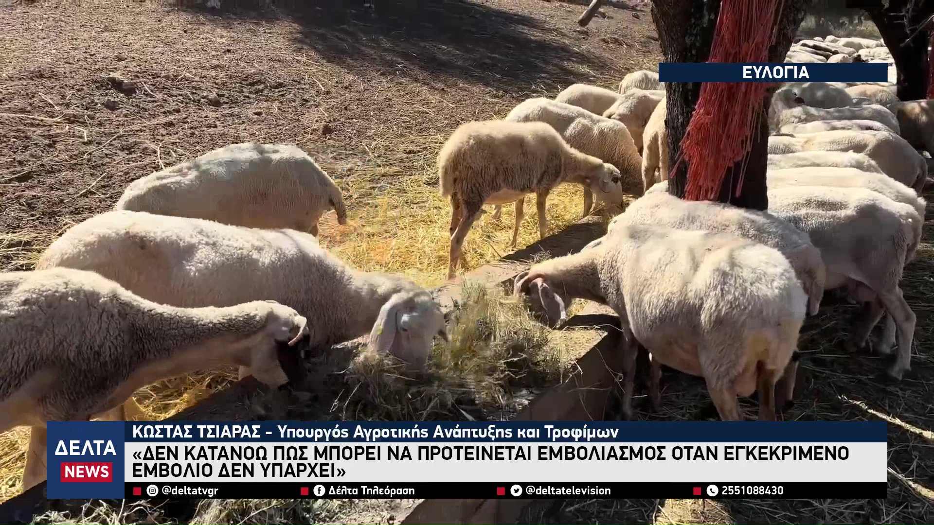 vlcsnap 2025 10 31 10h53m12s534