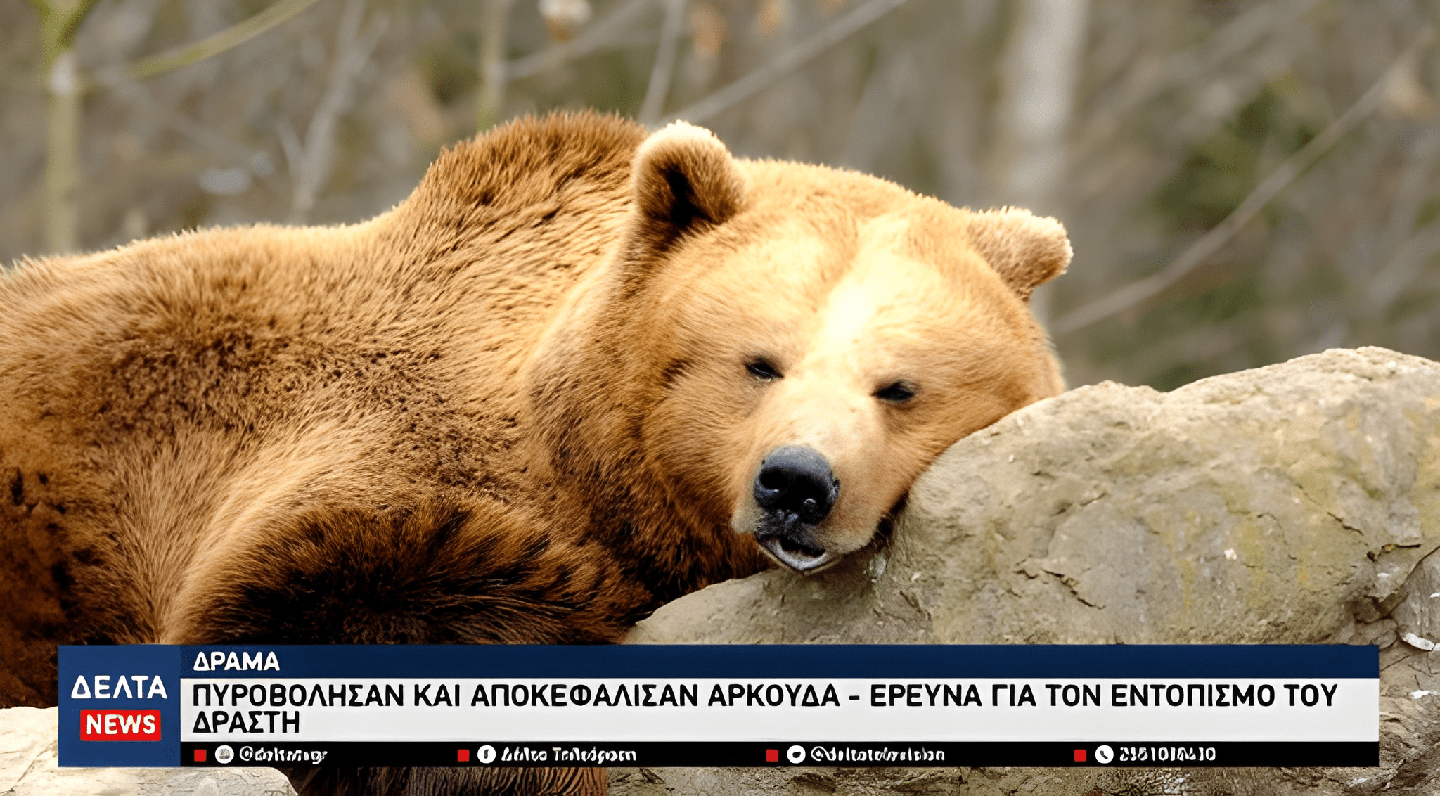 qiz6uoj5tbhub5nyq7ty