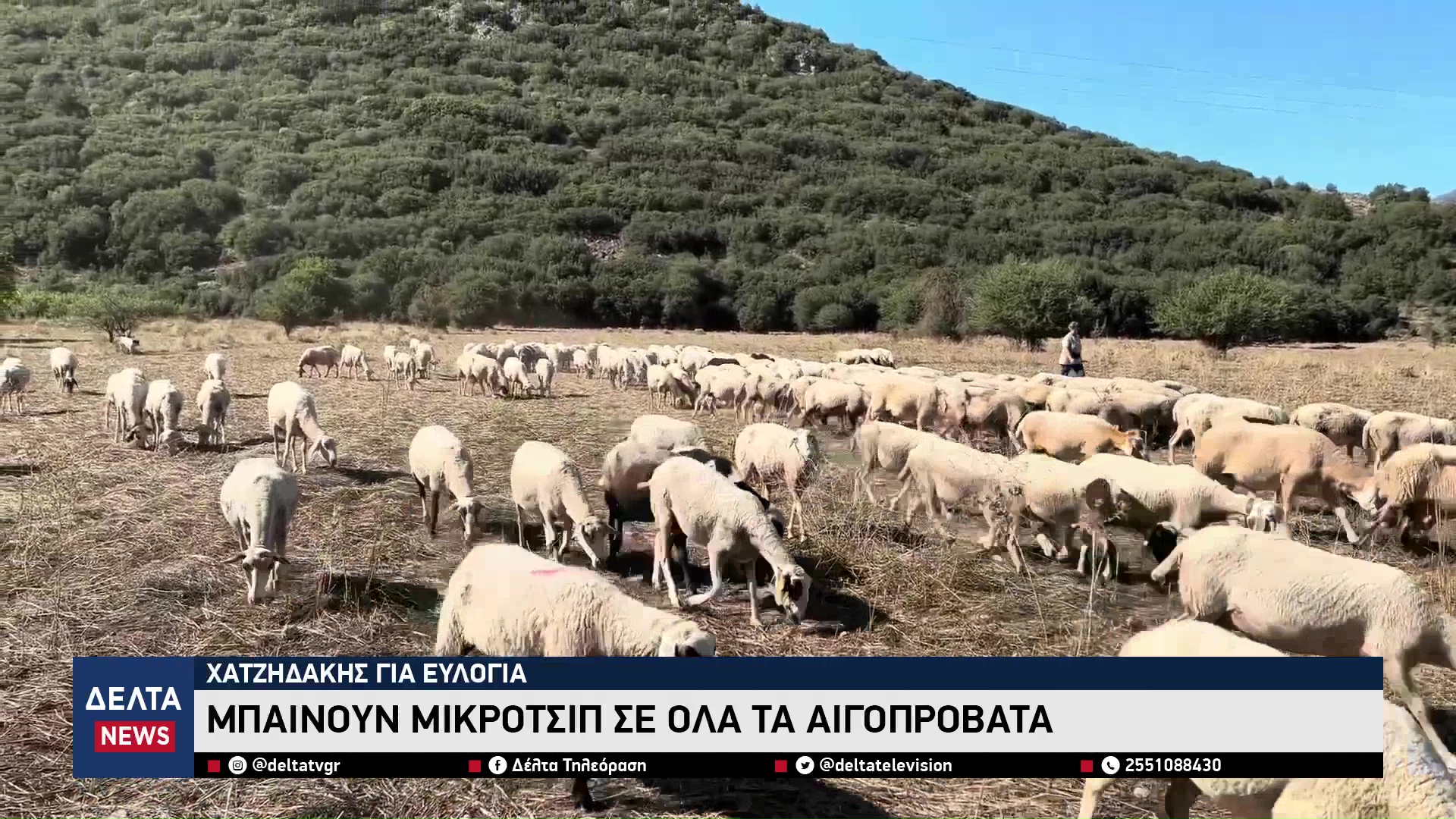 vlcsnap 2025 11 01 10h58m01s085