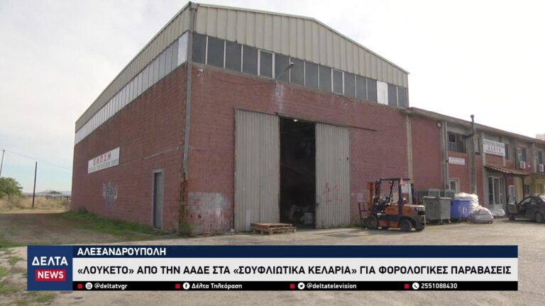 vlcsnap 2025 11 03 11h33m09s542