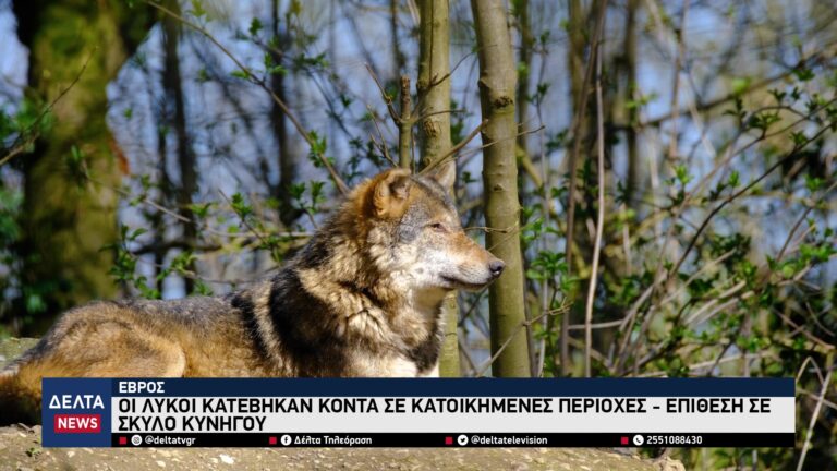 vlcsnap 2025 11 03 11h36m15s246