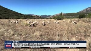 vlcsnap 2025 11 06 10h47m11s801