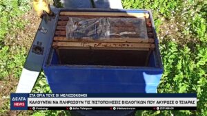 vlcsnap 2025 11 08 11h05m18s212