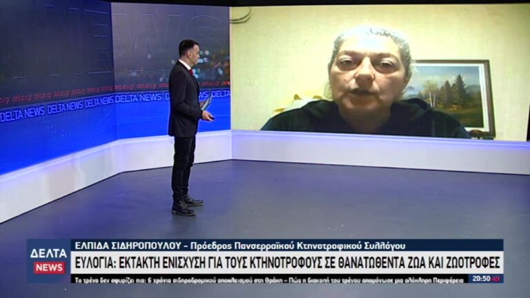 vlcsnap 2025 11 28 10h53m35s695