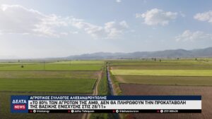 vlcsnap 2025 11 29 10h43m51s577