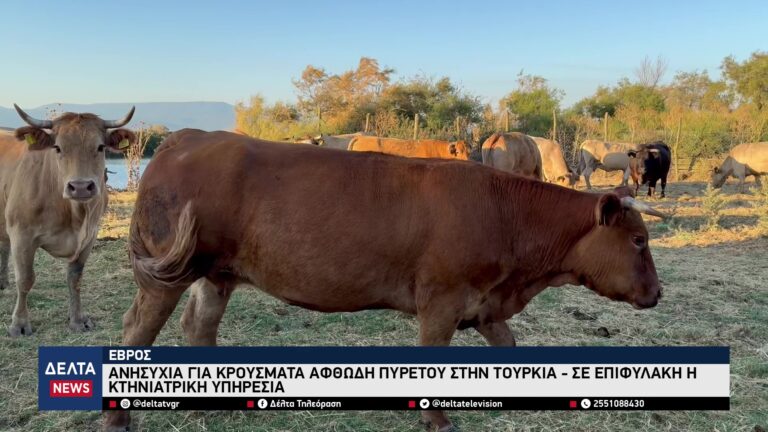 vlcsnap 2025 11 29 10h49m05s206