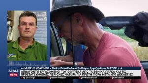 vlcsnap 2025 12 01 10h26m56s009