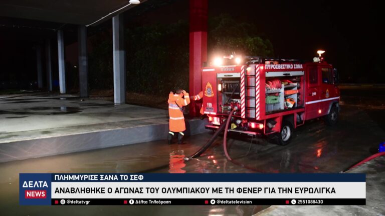 vlcsnap 2025 12 06 10h35m13s273