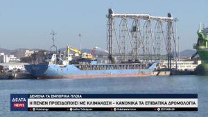 vlcsnap 2025 12 12 10h20m09s873