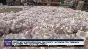 vlcsnap 2025 12 15 10h48m02s431