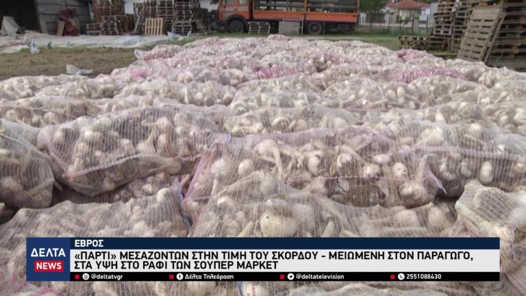 vlcsnap 2025 12 15 10h48m02s431