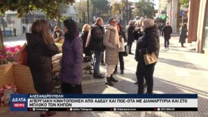 vlcsnap 2025 12 17 10h49m35s528