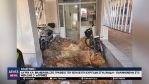 vlcsnap 2025 12 30 10h41m35s599