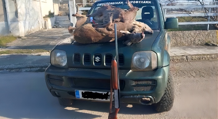 eu pic 696e49f3c0d63cbd381f6589