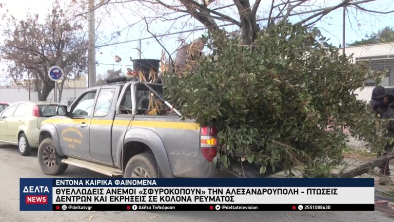 vlcsnap 2026 01 09 10h48m29s234