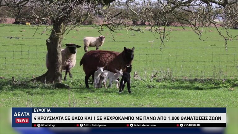 vlcsnap 2026 01 12 11h06m53s047