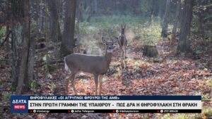 vlcsnap 2026 01 26 10h33m46s467