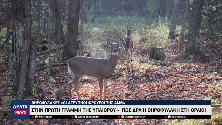 vlcsnap 2026 01 26 10h33m46s467