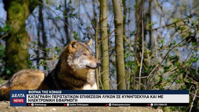 vlcsnap 2026 01 26 11h14m21s926