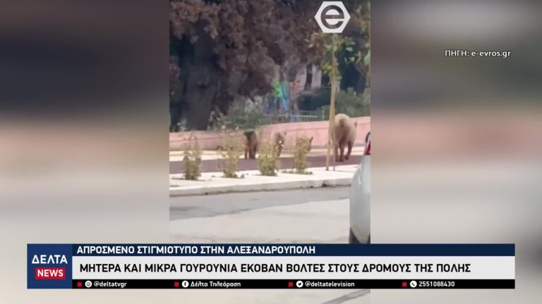 vlcsnap 2026 01 26 11h15m38s673