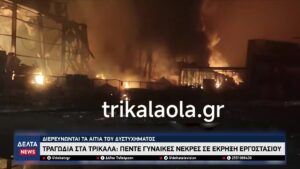 vlcsnap 2026 01 27 10h36m37s312