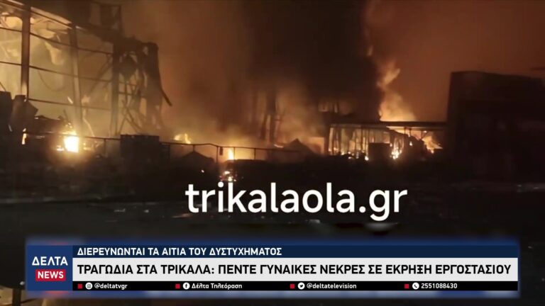 vlcsnap 2026 01 27 10h36m37s312