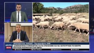 vlcsnap 2026 01 29 10h56m27s400