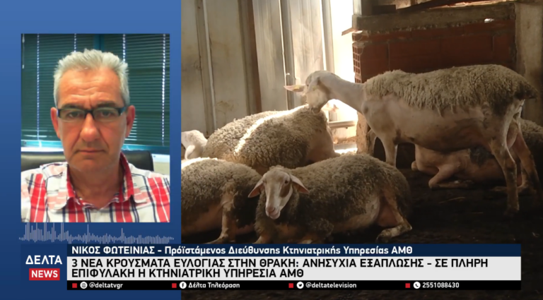 Στιγμιότυπο οθόνης 2026 01 20 220919