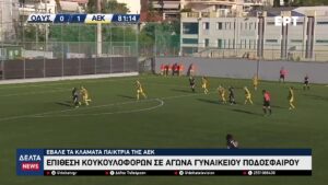 vlcsnap 2026 02 04 10h58m59s916