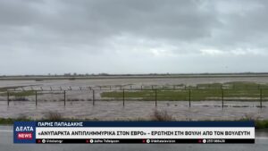 vlcsnap 2026 02 06 10h27m04s492