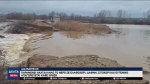 vlcsnap 2026 02 06 10h28m18s893