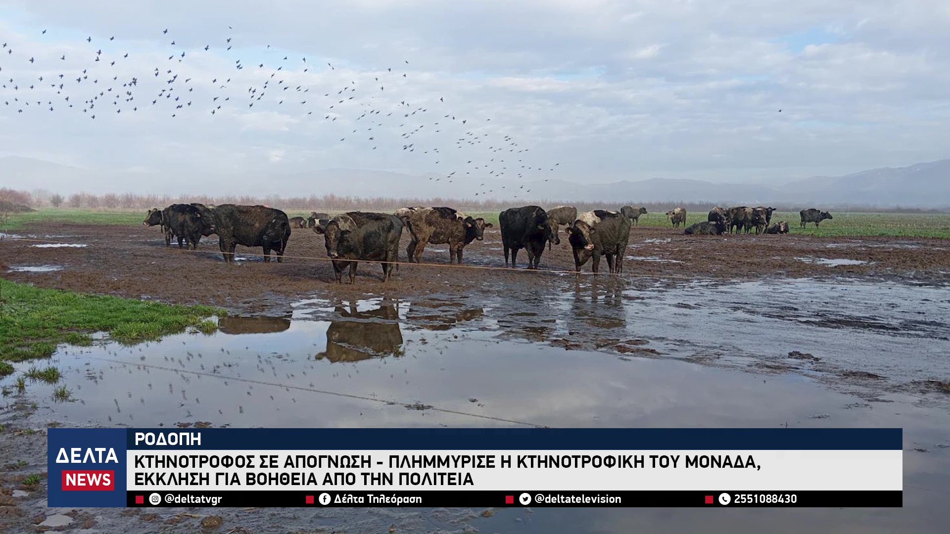 vlcsnap 2026 02 09 10h56m30s304