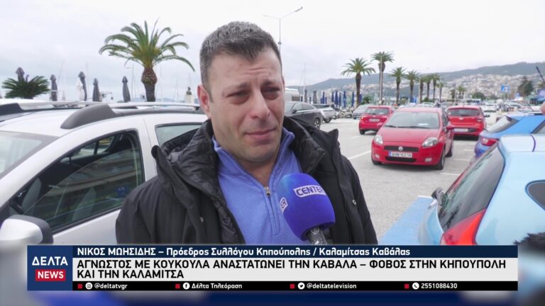 vlcsnap 2026 02 09 11h01m52s337