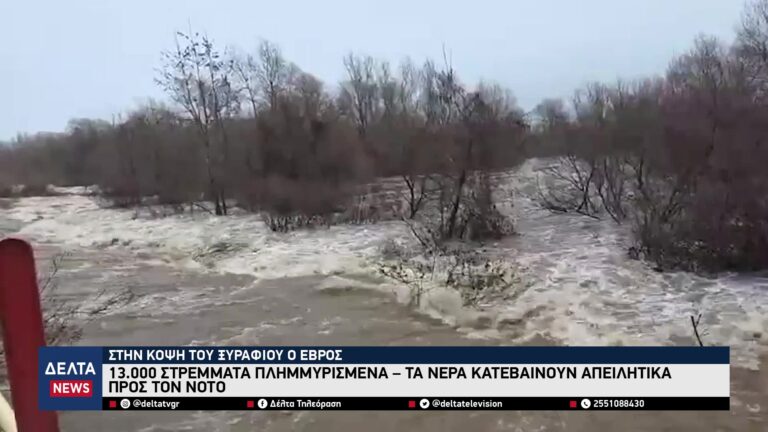 vlcsnap 2026 02 10 10h49m08s725