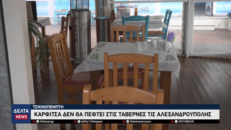 vlcsnap 2026 02 12 11h21m01s253