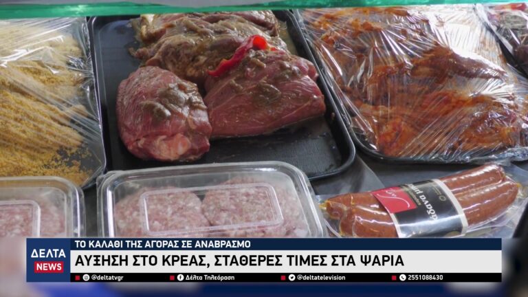 vlcsnap 2026 02 16 10h52m00s476