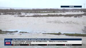 vlcsnap 2026 02 21 10h37m13s594