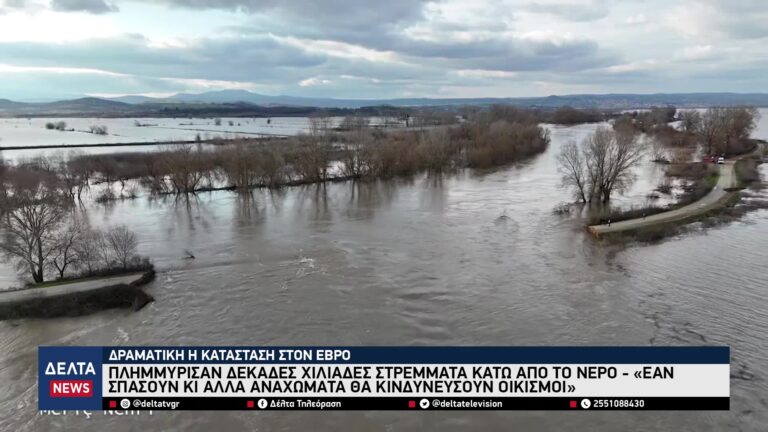 vlcsnap 2026 02 24 10h31m53s006