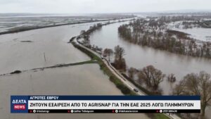 vlcsnap 2026 02 28 10h38m30s668