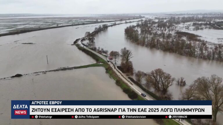 vlcsnap 2026 02 28 10h38m30s668